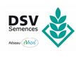 logo-dsv