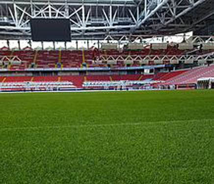 La pelouse « hybride » du stade Luschniki de Moscou