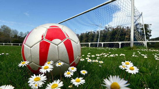 ballon de foot sur pelouse de terrain de sport avec pâquerettes