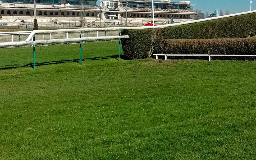 Gazon et tribunes d'un hippodrome