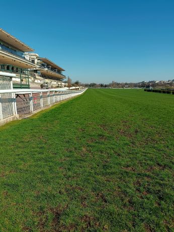 Le gazon hippique à l’honneur