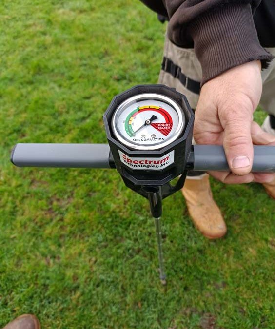 L’odeur du printemps